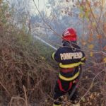 incendiu langa hotelul emy din mihail kogalniceanu aproape de intrarea in unitatea militara 6894d078506e1