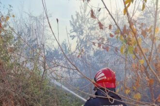 incendiu langa hotelul emy din mihail kogalniceanu aproape de intrarea in unitatea militara 6894d078506e1