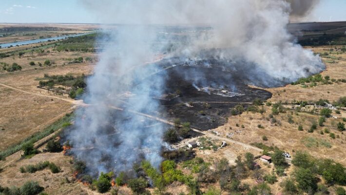 incendiu violent de vegetatie uscata in medgidia pompierii intervin cu 9 autospeciale 68a1f0b6b476e