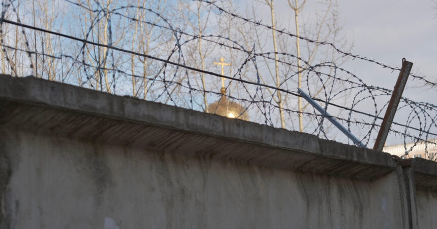 infractori rusi au incercat sa introduca droguri intr o inchisoare din nijni novgorod cu ajutorul unei pisici 68a488a884665