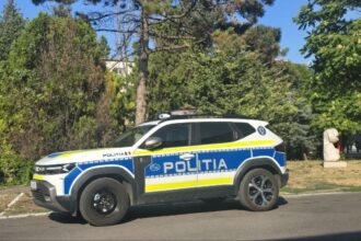 jale in trafic soferi beti sau fara permis prinsi de politistii din agigea costinesti si techirghiol 68a32fa81e3cd