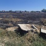 jandarmii si politistii au sprijinit stingerea unui incendiu in costinesti 68a748f1cdb0f