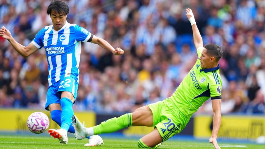 live video acum pe voyo brighton fulham 1 0 sunderland west ham dueluri tari in premier league 68a0a2c02bfcd