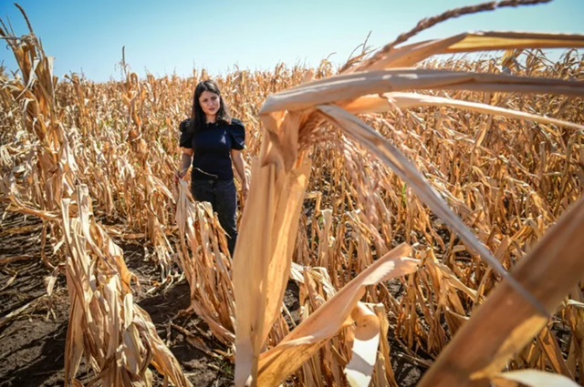 lucrarile agricole in camp se vor desfasura cu dificultate in aproape toata tara din cauza secetei 68b2ce7945a97