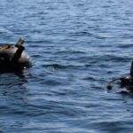 mina marina descoperita pe plaja de la vadu 68b4ae930ef36