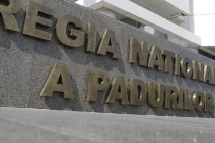 ministerul mediului organizeaza astazi o dezbatere publica pentru alegerea sefului interimar al romsilva 68ac049081b4f