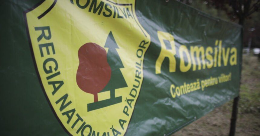 noi contracte pentru membrii ca al romsilva cu indemnizatii reduse cu peste 50 buzoianu regia se afla intr o situatie critica 6893a09ed3e3c