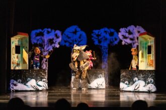 noul teatru pentru copii si tineret de la delfinariu proiect de peste 90 de milioane de lei gata de finantare 689bb21c189c8