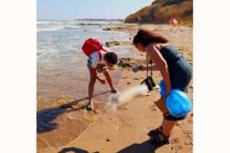 opt delfini esuati pe litoral descoperiti intr o singura zi 68a028f2b5890