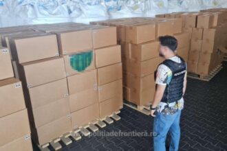 peste 15 milioane de tigarete gasite intr un container de politistii garzii de coasta produsele valoareaza 4 milioane de euro 689c4adc5ba76