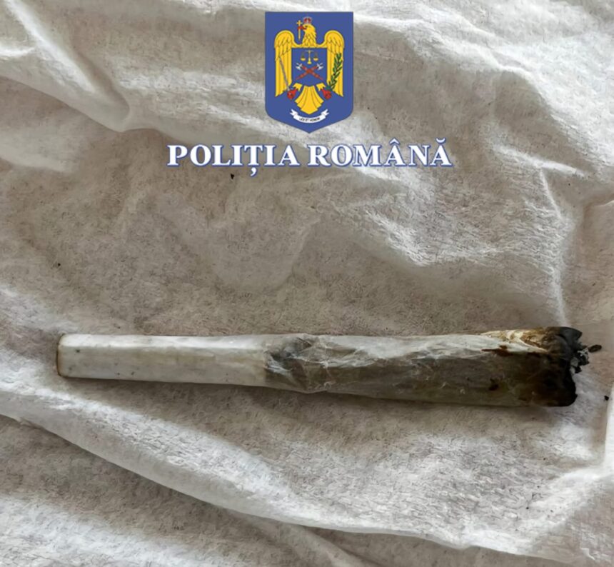 petrecerea s a incheiat prost tanara prinsa cu canabis la neversea condamnata la inchisoare 68ae2d6b107f9