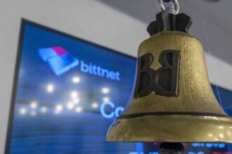 pierdere la s1 pentru bittnet systems conducerea companiei mizeaza pe contracte in valoare de sute milioane lei 68b1d8ef5b32d