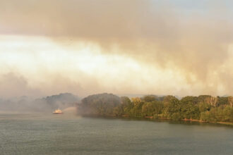 pompierii din tulcea continua batalia cu flacarile a zecea zi in care ard padurile de langa chilia veche 689c9dc9095e3