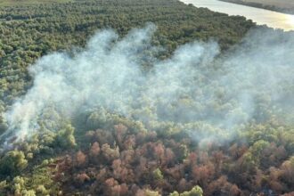 pompierii si un elicopter black hawk intervin din nou in zona chilia veche 6891cefd12dc1