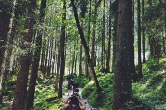 salvamont peste 50 de persoane salvate de pe munte in ultimele 24 de ore 688f026dcc247