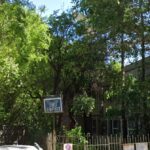 sectia clinica dermatovenerologica a spitalului judetean constanta va fi reabilitata si modernizata 68a4206a80fd7