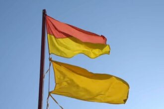 steag galben arborat pe toate plajele din eforie 689dbd8283d2b