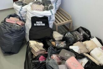 sute de genti contrafacute confiscate de politistii de frontiera la mangalia 689db4a71870e
