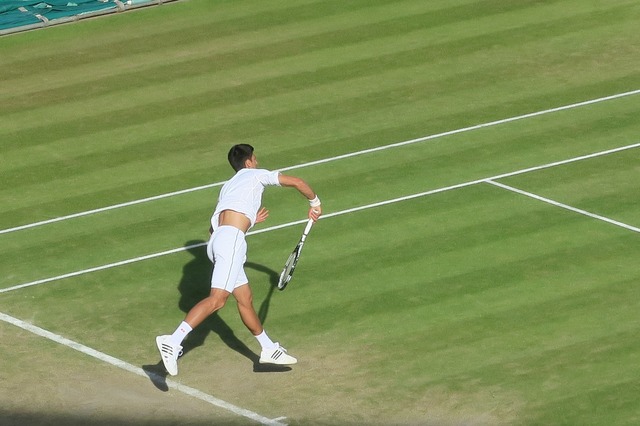 tenis bonus record de 183 milioane de dolari pentru jucatori din impartirea profitului atp masters 1000 689e468a4fbd7