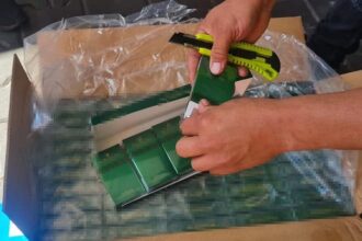 tigari in valoare de 4 milioane de euro descoperite intr un container in portul constanta sud agigea 689c4abd0adf6