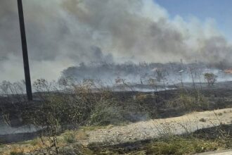trafic rutier oprit pe autostrada a2 bucuresti constanta in urma unui incendiu de vegetatie 6894834b2b889