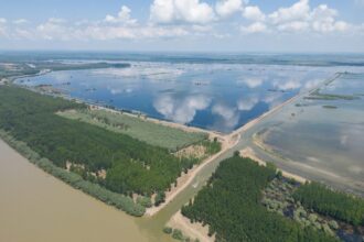 turism sau agricultura autoritatile din mahmudia nu vor sa refaca digul rupt procesul ajunge in recurs 689287a722e35