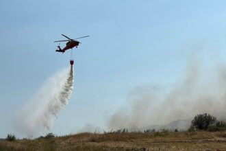 un nou incendiu de vegetatie uscata stuf si fond forestier in zona chilia veche judetul tulcea 6891a0831c6ac