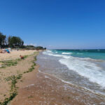video amenzi pe banda rulanta pentru turistii romani din bulgaria care si au parcat masinile intr o arie protejata ce scuze invoca 6894f59e075f6