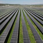 video china ridica cea mai mare ferma solara din lume sute de mii de oi fotovoltaice pasc sub panouri 68adc2462af7f