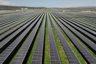 video china ridica cea mai mare ferma solara din lume sute de mii de oi fotovoltaice pasc sub panouri 68adc2462af7f