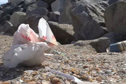 video cum arata plajele din romania la final de sezon turistii au lasat in urma chistoace de tigari resturi alimentare si ambalaje 68ac7d074f5e4