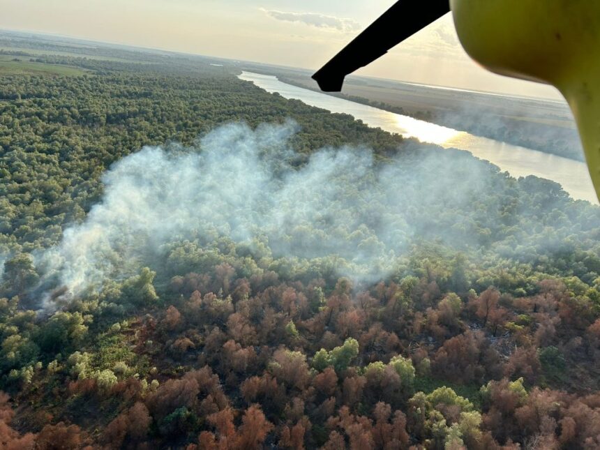 video elicopterul black hawk intervine in judetul tulcea ard mai multe hectare de vegetatie uscata stuf si fond forestier din chilia veche 6890e422d117f