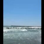 video emotionant turistii au facut lant uman la jupiter pentru a i scoate din valuri pe cei doi copii si barbatul de 35 de ani de pe plaja delta 68a077a91f8cf