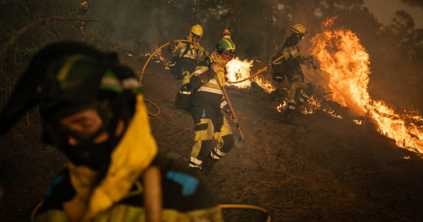 video incendii puternice de vegetatie la cativa kilometri de madrid mii de oameni evacuati si in andaluzia 689ae5818a17b