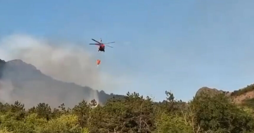 video incendiu de vegetatie in judetul tulcea flacari pe 6 hectare in zona chilia veche elicopter black hawk trimis la interventie 6890ec5eb0aec