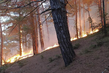 video incendiu pe coasta marii negre in apropierea vilei lui putin in urma prabusirii unei drone peste 100 de pompieri rusi mobilizati 68b1791fa578f