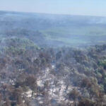 video incendiul din delta dunarii s a extins ard 75 de hectare raed arafat sunt trei focare care fumega doua cu flacara 6898a756e339e