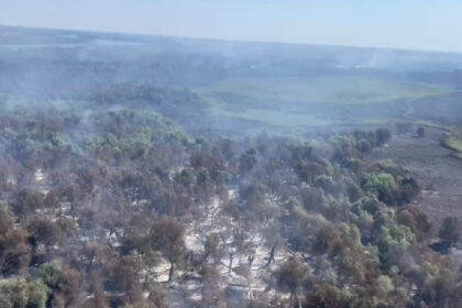 video incendiul din delta dunarii s a extins ard 75 de hectare raed arafat sunt trei focare care fumega doua cu flacara 6898a756e339e