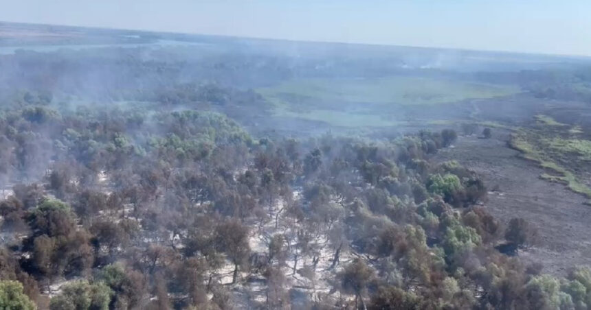 video incendiul din delta dunarii s a extins ard 75 de hectare raed arafat sunt trei focare care fumega doua cu flacara 6898a756e339e