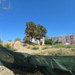 video nu mai lucreaza nimeni la parcul de la soveja santierul a fost abandonat ca si amenajarea noului cap de linie pentru autobuze 68a7927e5d449