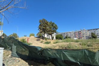 video nu mai lucreaza nimeni la parcul de la soveja santierul a fost abandonat ca si amenajarea noului cap de linie pentru autobuze 68a7927e5d449