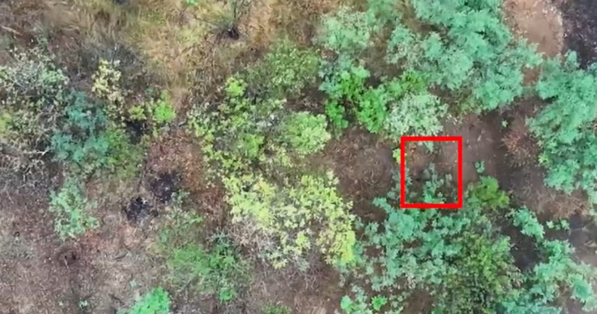 video o brigada militara ucraineana a publicat un videoclip socant in care apar femei ruse luptand in unitati de asalt din prima linie 6890915c34bd2