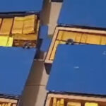 video patronul cfr cluj se lauda cu aurul pe care il detine sunt 17 cutii a cate 100 de kile pregatite 68aefe45c9aad