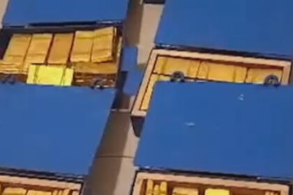 video patronul cfr cluj se lauda cu aurul pe care il detine sunt 17 cutii a cate 100 de kile pregatite 68aefe45c9aad
