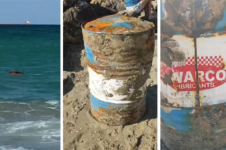 video risc ecolog major pe plaja din eforie doua butoaie cu ulei industrial gasite plutind in deriva intervin pompierii 689f35571ce3c