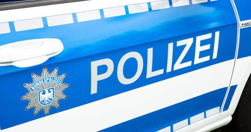 video tragedie in germania un roman si a ucis logodnica si baietelul si s a sinucis doar fetita lor a supravietuit 68ab5225bfacc