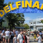 video val de vizitatori la reprezentatiile de la delfinariu constanta 6894fa98bc6de