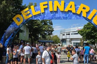 video val de vizitatori la reprezentatiile de la delfinariu constanta 6894fa98bc6de