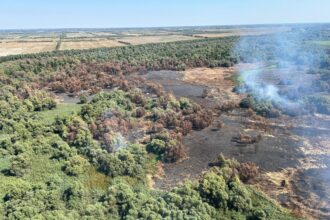 video vesti bune incendiul violent din delta dunarii zona sireasa a fost lichidat elicopterul black hawk a facut peste 50 de aruncari de apa 68a49ef34c162