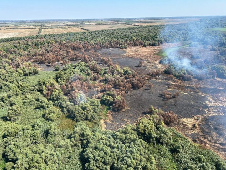 video vesti bune incendiul violent din delta dunarii zona sireasa a fost lichidat elicopterul black hawk a facut peste 50 de aruncari de apa 68a49ef34c162